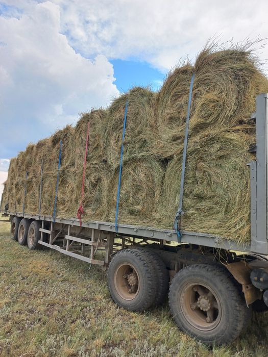 Сено в рулонах с доставкой