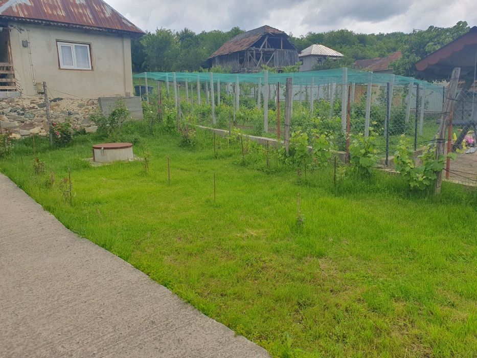 Casa cu 3 camere comuna Bala