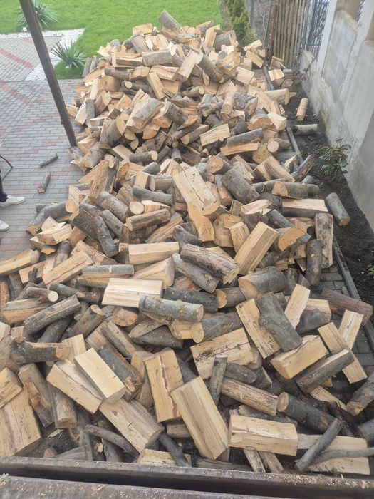 Lemne de foc crapate