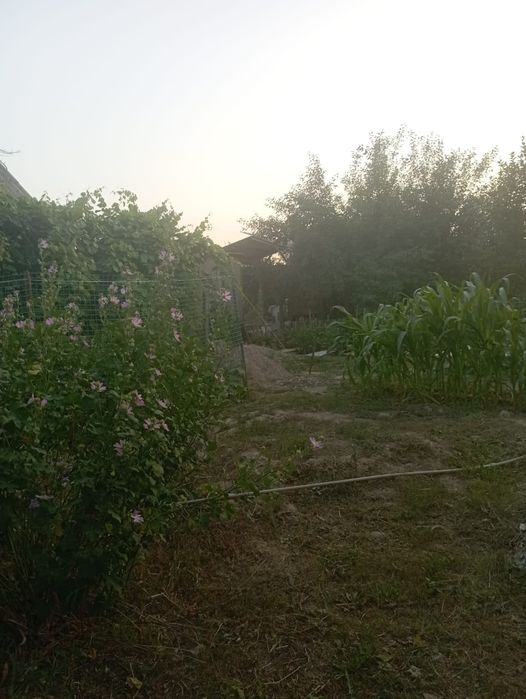 Дача мечта срочно