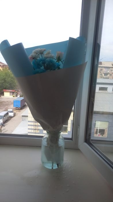Продам цветы ___Звонит по номеру