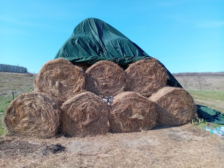 Vând baloti rotunzi 120/120