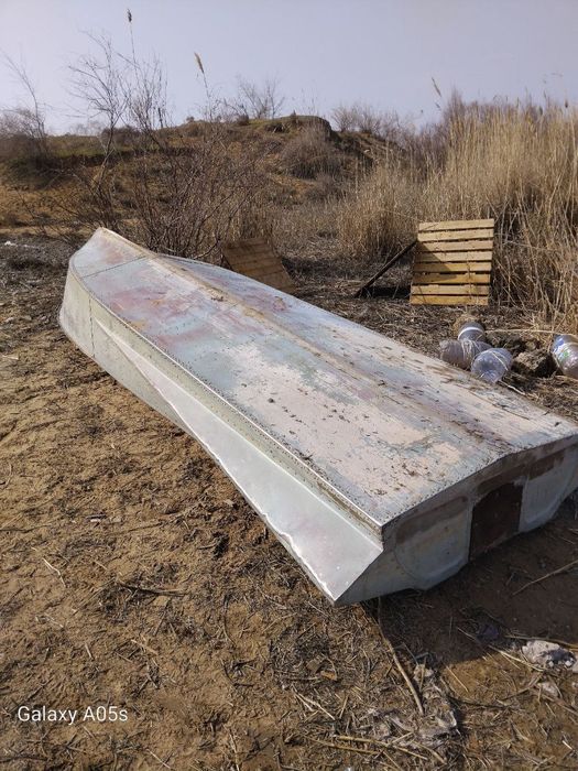 Казанка крылатка