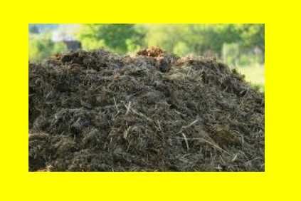 balegar ingrasamant de la vaci pentru pamant