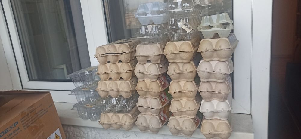 Лотки для яиц бесплатно