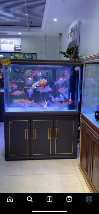 Изготовление аквариумов на заказ / Akvarium buyurtma assosida yasaymiz