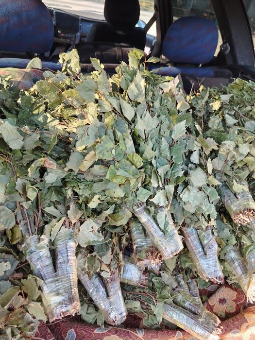 Березовые веники