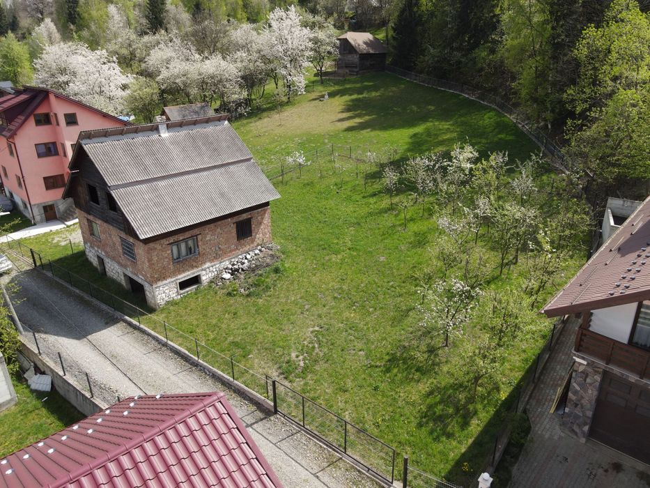 Casa la rosu + teren Borsa MM