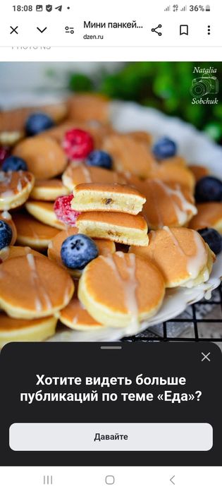 Панкейкница  новая