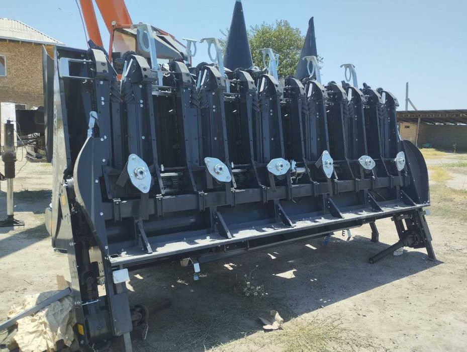 Маккажухори жаткаси