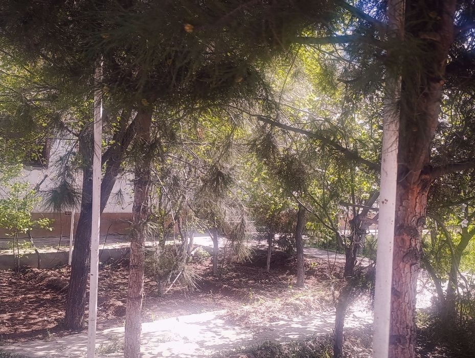 Завод Коттеджи  сотилади. Ибн Сино 21