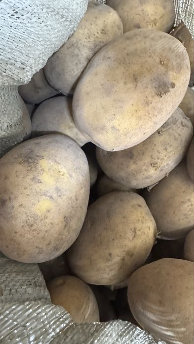 Картошка домашняя с Есенгельди