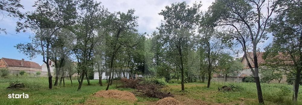 Teren 1300 mp, cu tiny house moderna, in Satul Grid — Țara Fagarasu