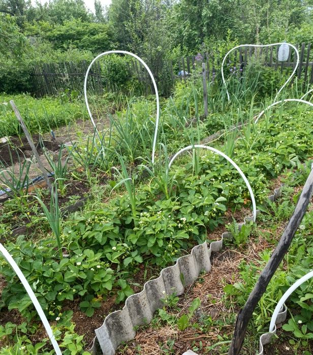 Продам дачу в обществе " Горизонт".