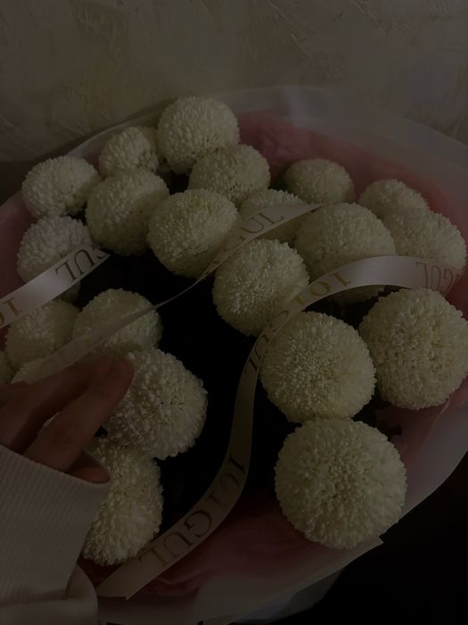 Свежий Цветый момоко