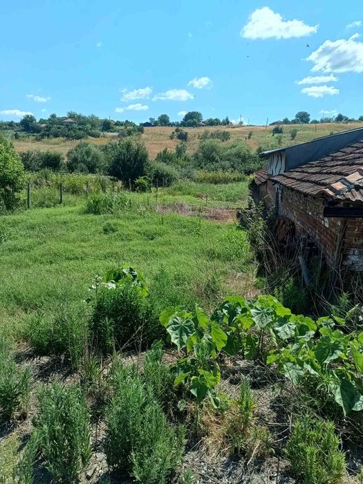 Продава се Парцел в Димитровград - 3150 кв.м за 14 €/кв.м - Снимка #6