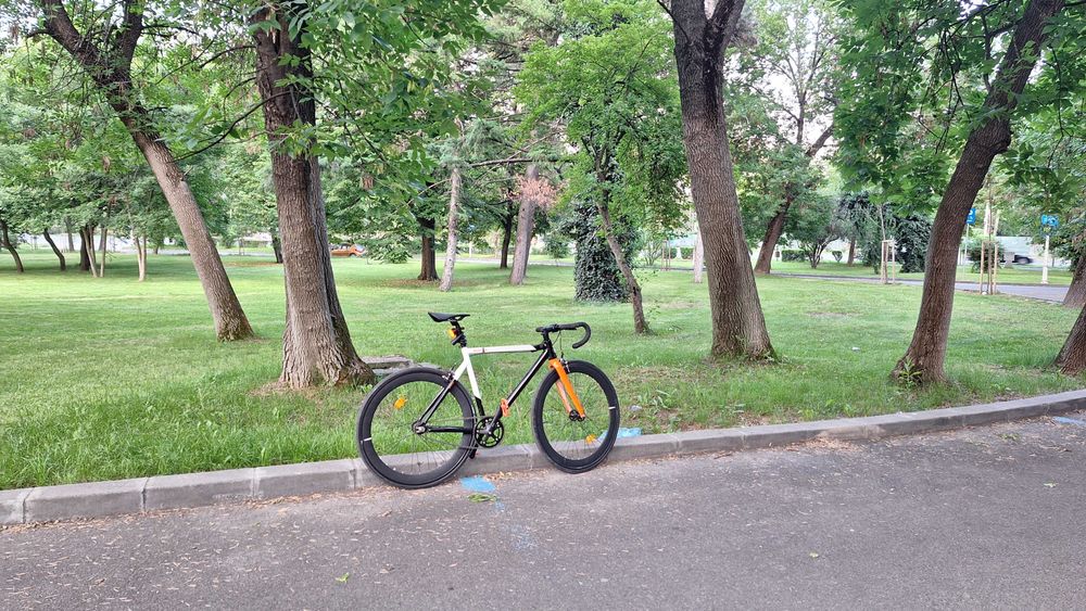 Single Speed Santa Fixie Raval Stela 52