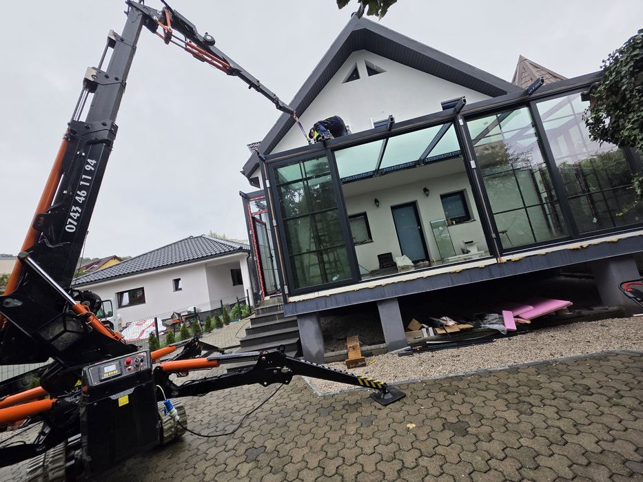 Minimacara macara spiders