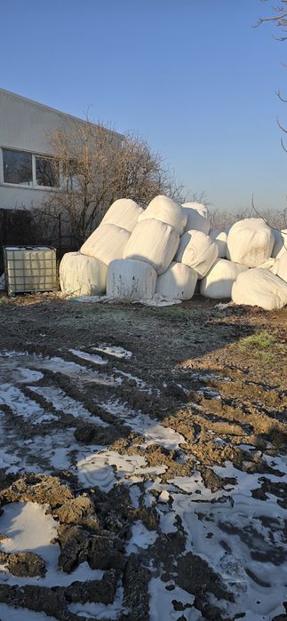 Baloti rotunzi lucerna