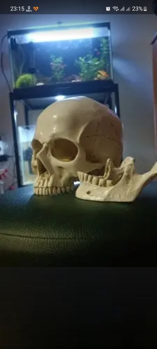 Череп Хэллоуин Статуэтка