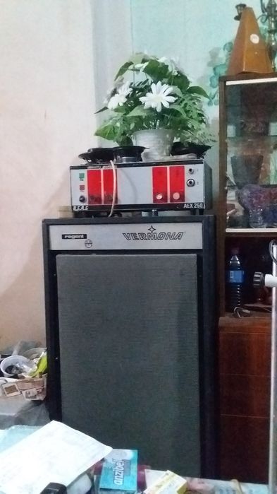 Динамики и колонки