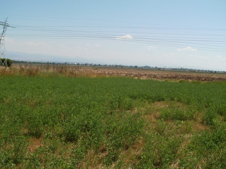 Продава се Земеделски имот в София, Люлин 10 -  кв.м за 27 €/дка - Снимка #2