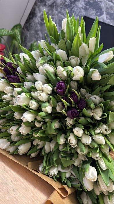 Тюльпаны 8 марта