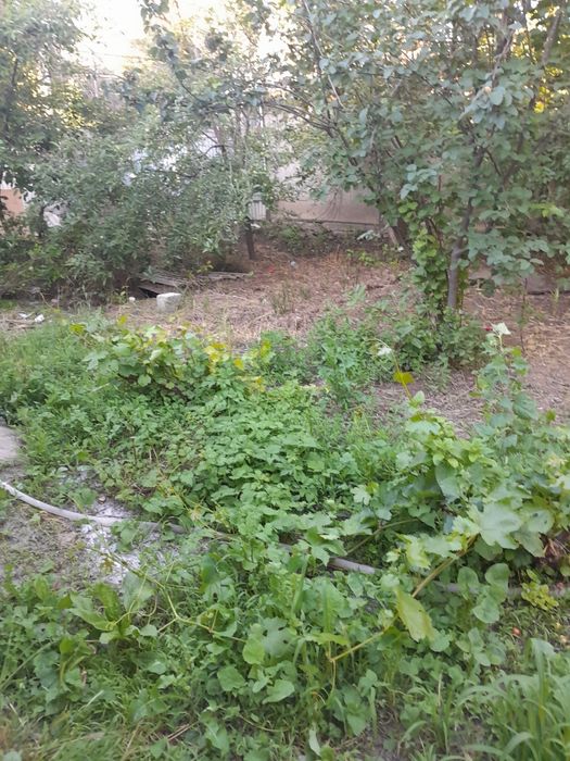 Дом кайнар булак дача