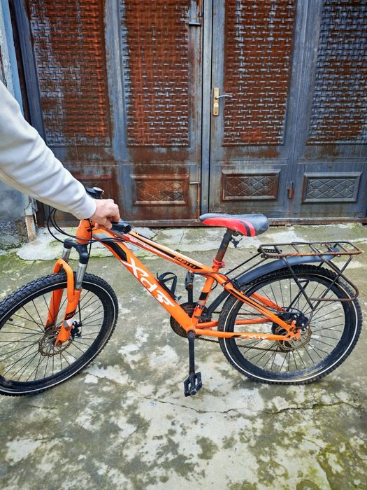 Velik razmer 24 pakrishkalari zor