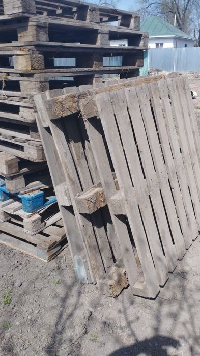 Палеты по  2000 шт