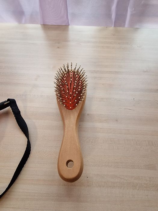 Комплект каишка и гребен за котки и кучета