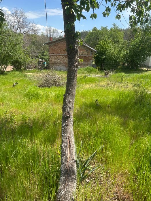 Дворно място на язовир Копринка