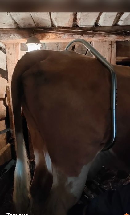 Продам скобу антибрык