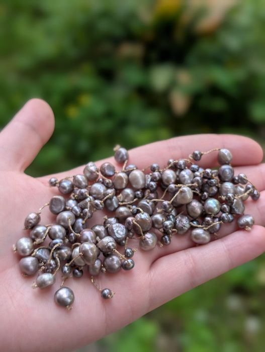 Veche bratara elastica din cu perle naturale de cultura, de culoare gri metalizat, cu irizatii mov