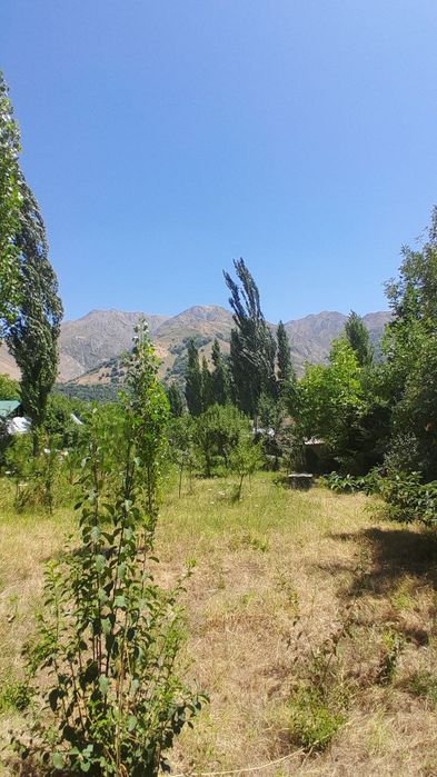 Sijjak qishlog'i 8sotix