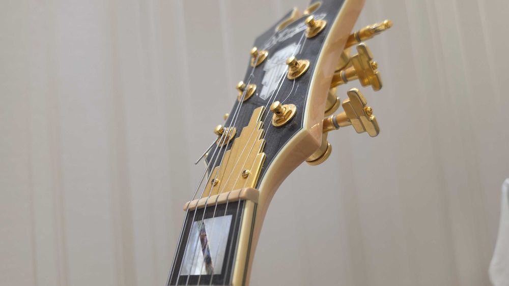 Электрогитара D'Angelico Bedford SH Deluxe