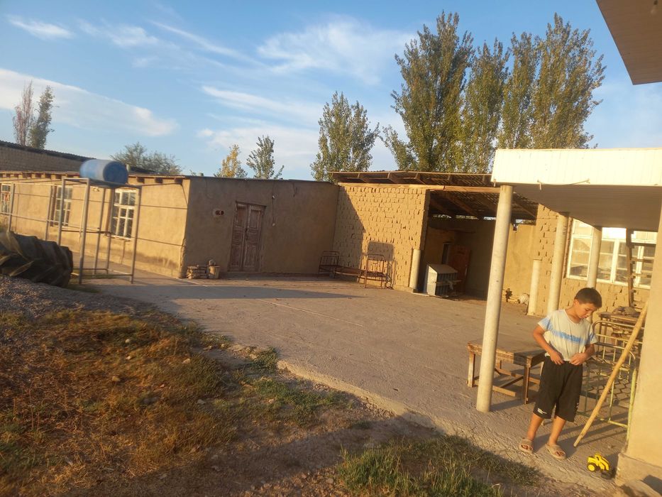 Tovuq ferma sotiladi