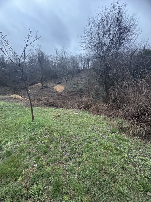 Schimb teren in Campina cu autoturism