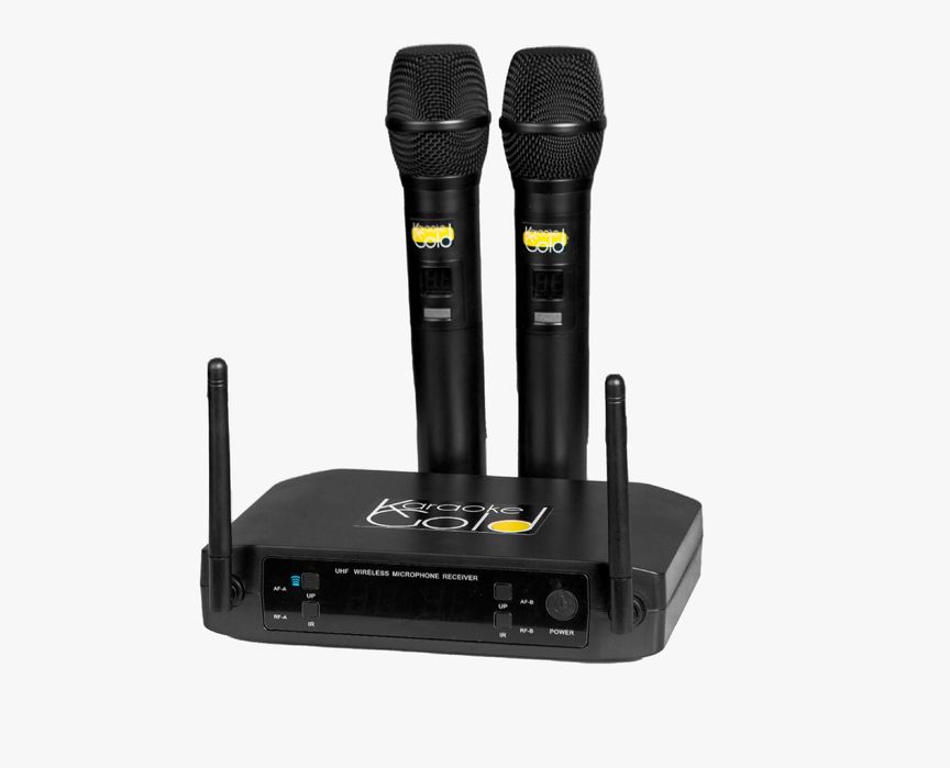 Karaoke Gold Pro Max караоке система.