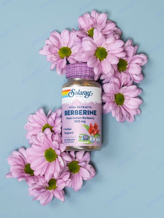 Solaray Berberine