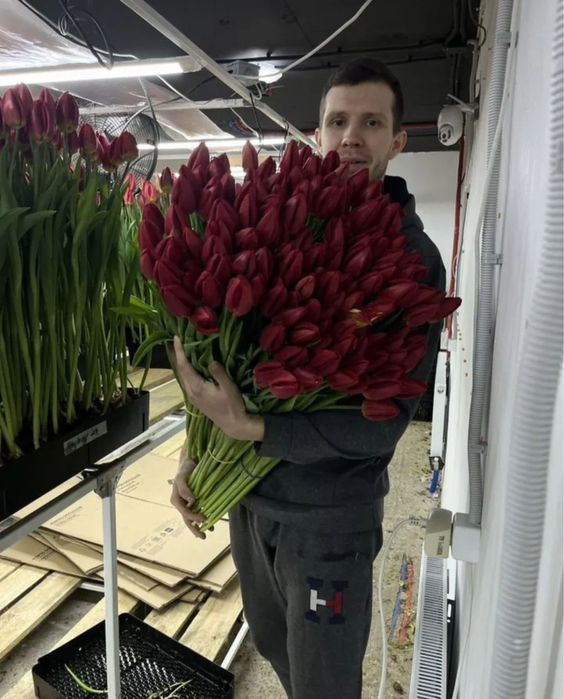 Тюльпаны в розницу