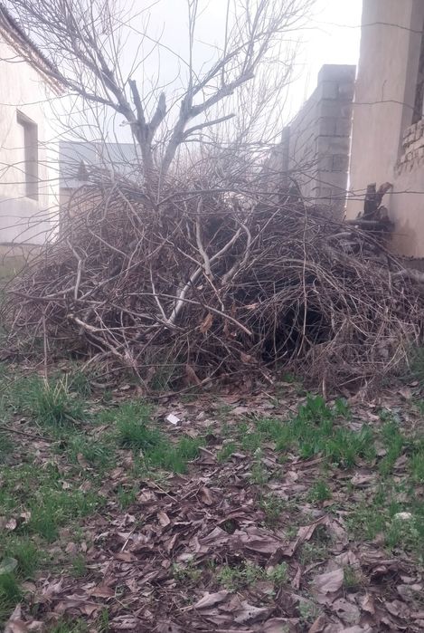 Отын - 1 прицеп Дров