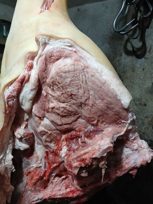 Продавам добре гледани БИО прасета