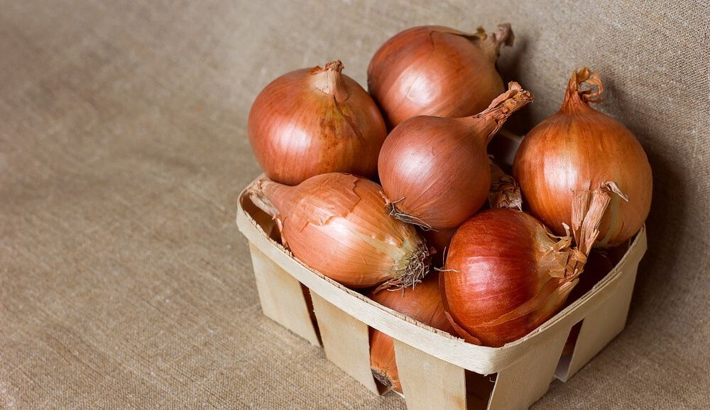 Свежая, сушеная, замороженная, сублимированная сельхозпродукция.