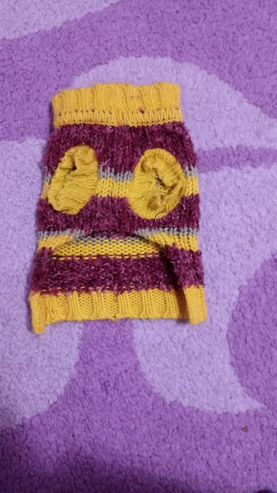 Одежда для собаки