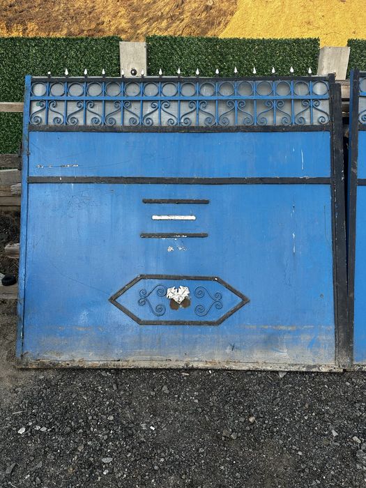 Porta acces auto si poarta pietonala