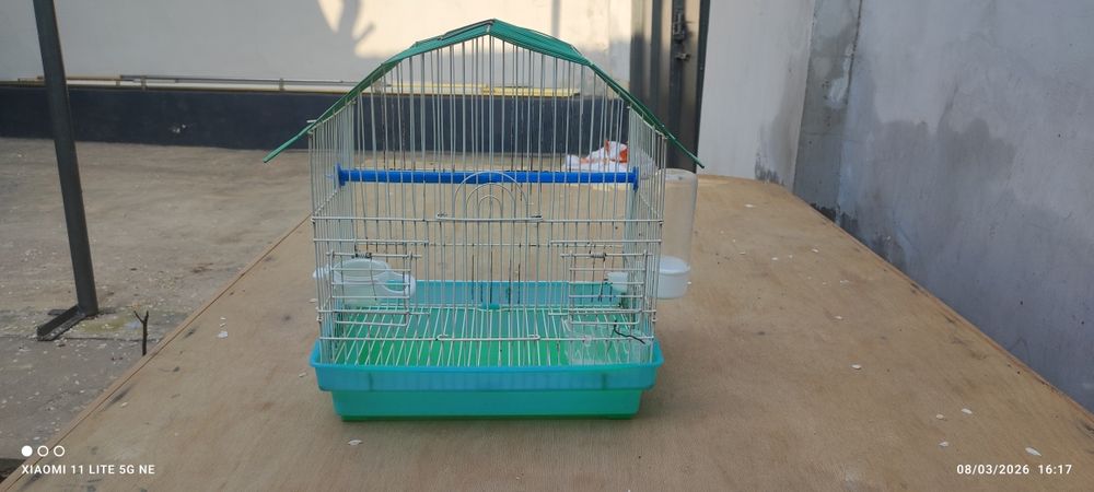 Qafas va 1ta karela gnezdo, 1ta valnisti gnezdo