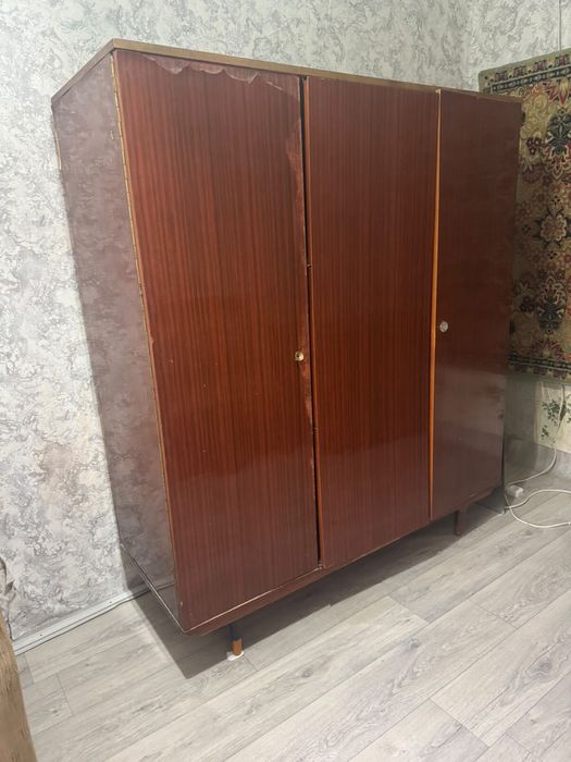 Отдам даром  бесплатно