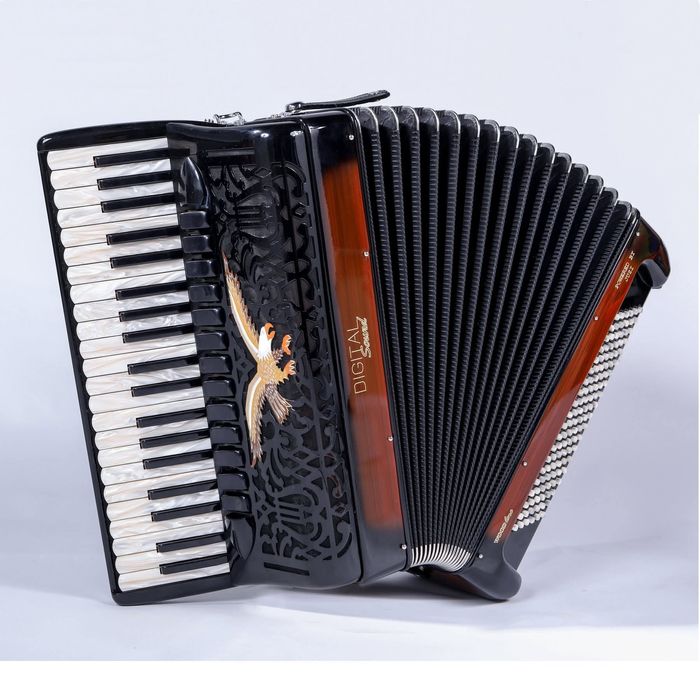 Lecții Muzică pentru Toate Vârstele Orga • Acordeon • Țambal