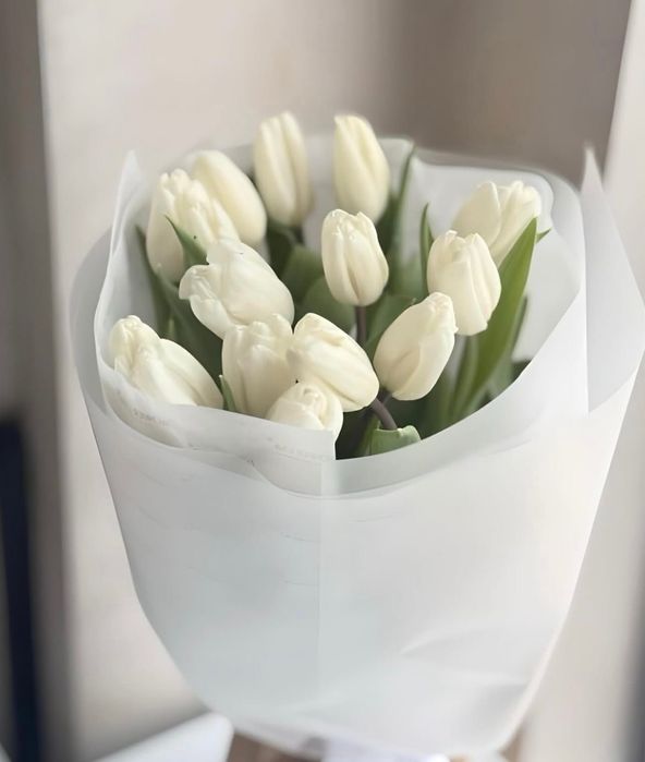 Крупные тюльпаны в наличии